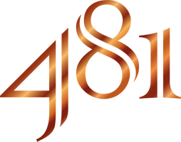481